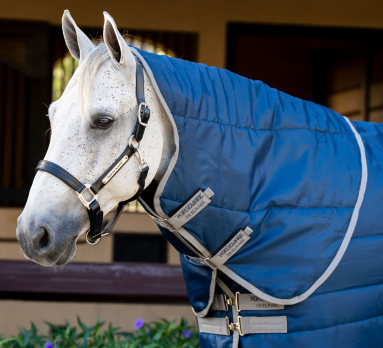 Amigo® Ripstop Insulator Hood (100g Light)