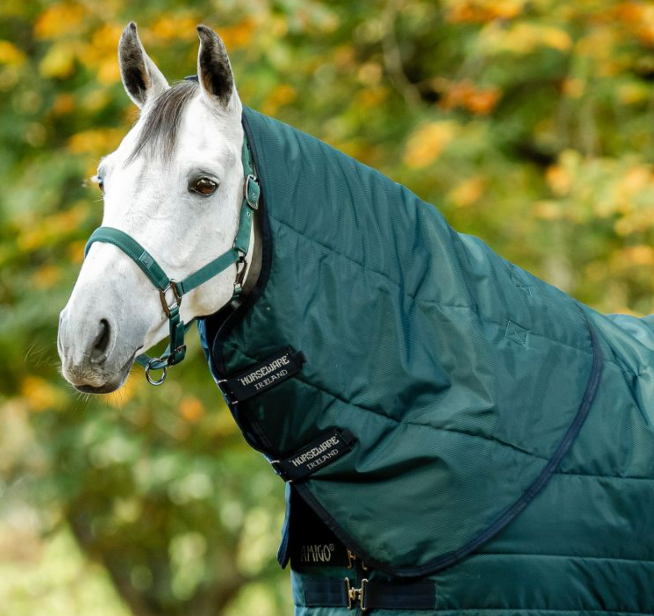 Amigo® Ripstop Insulator Hood (100g Light)