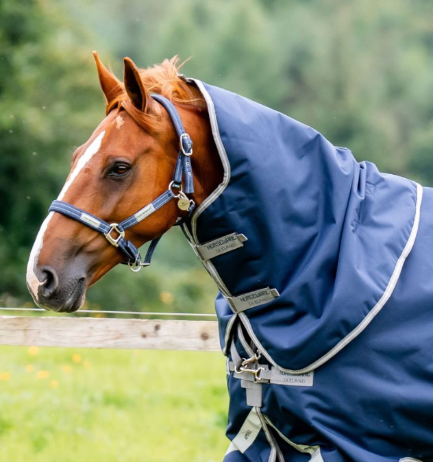 Amigo® Bravo 12 Original Hood (150g Light)