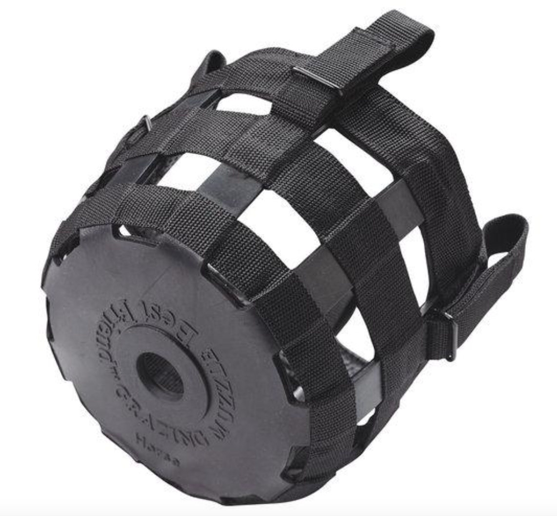 Best Friend Grazing Muzzle