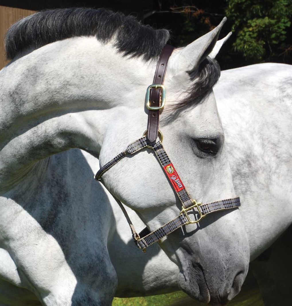 Baker Breakaway Halter