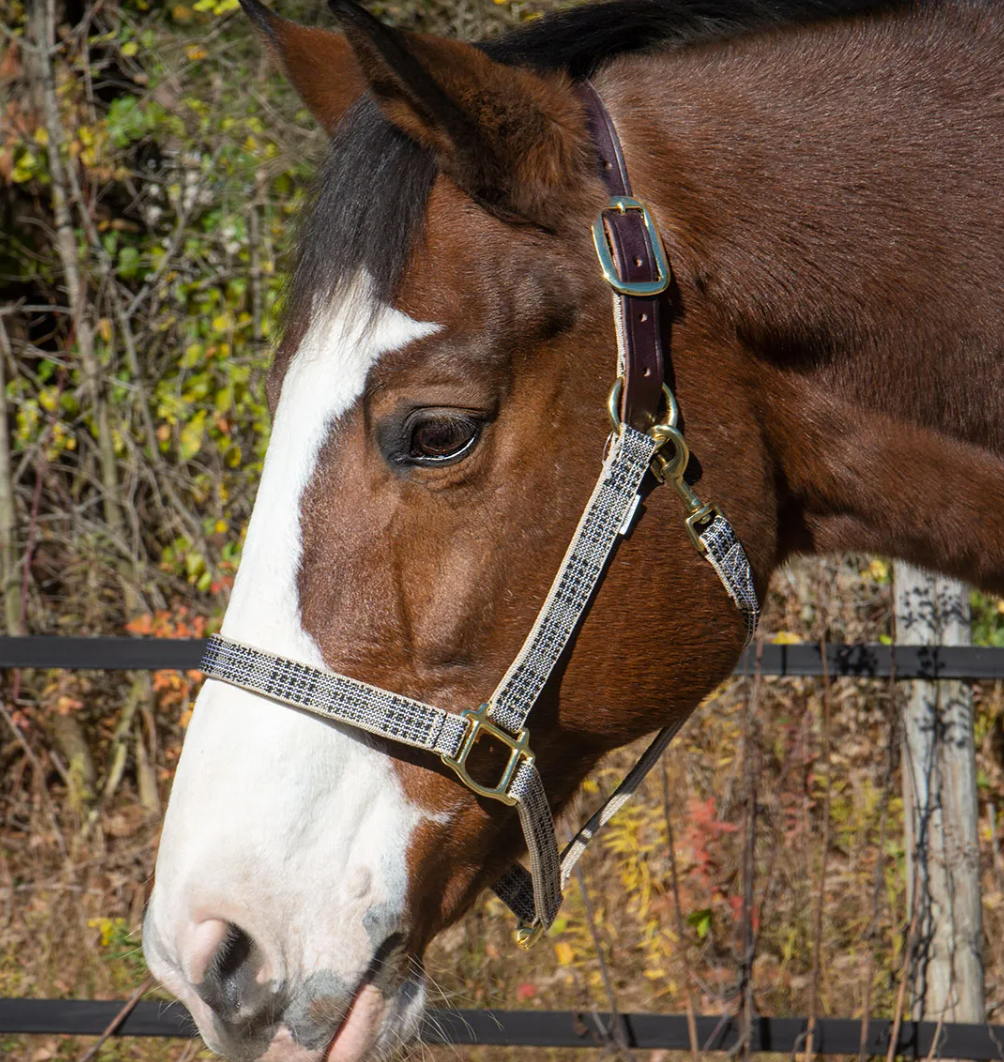 Baker Breakaway Halter