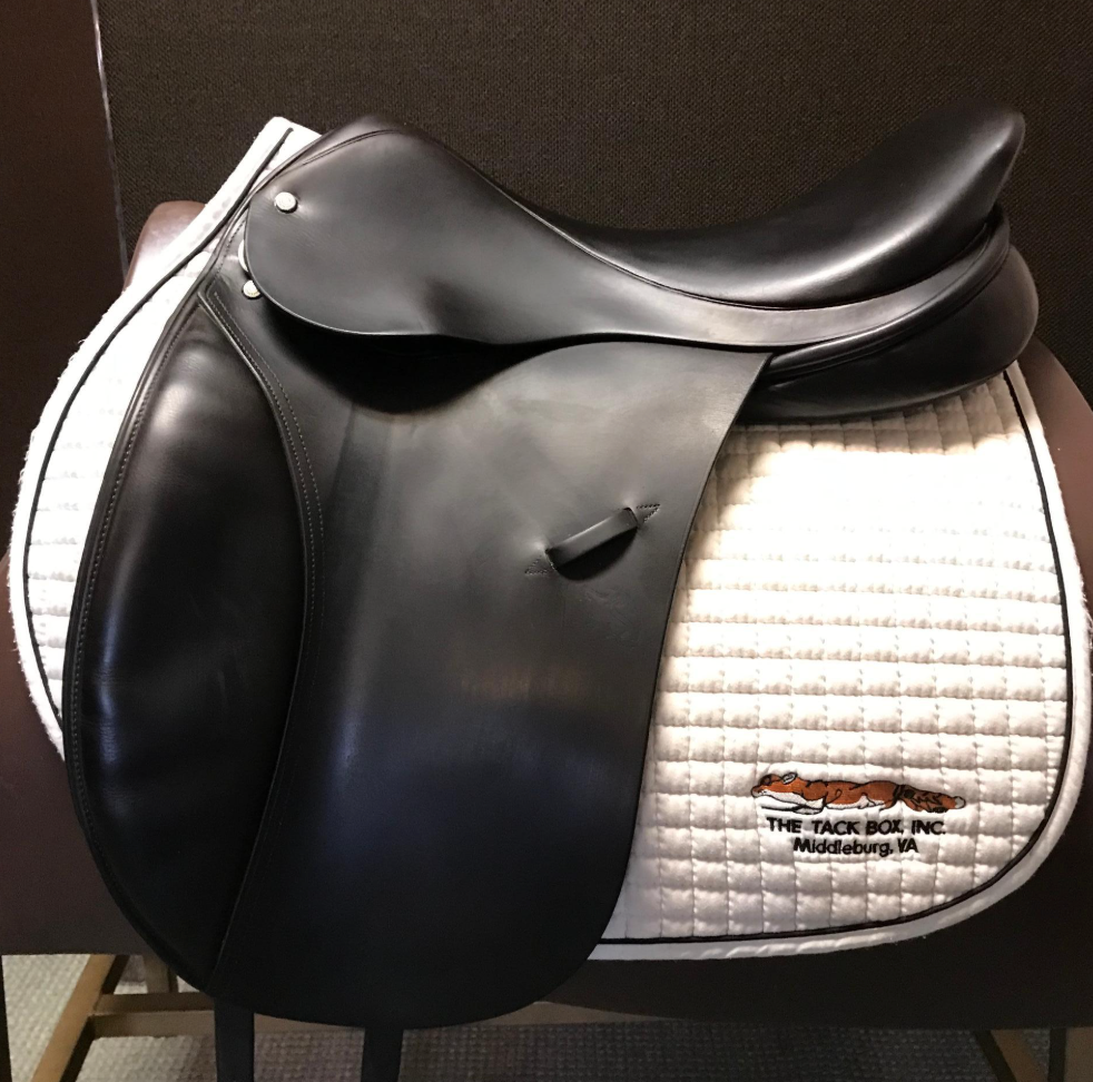 '06 DG Stackhouse Dressage 18.5 MN