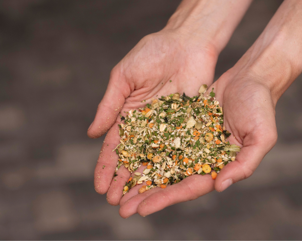 Equine Elixers Crackdown