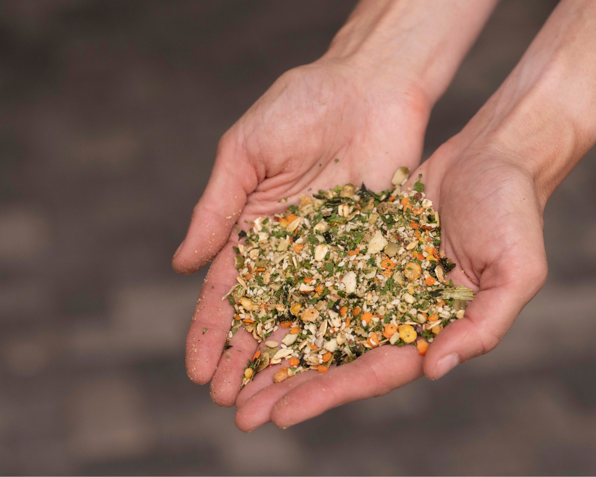 Equine Elixers Crackdown