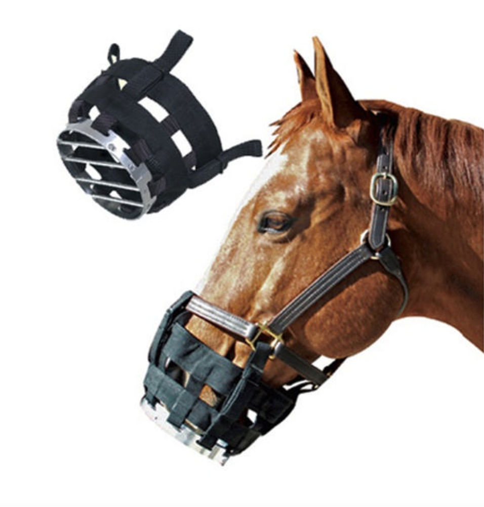 Cribbing Rings Best Friend® Cribbing Muzzle – The Tack Box Inc