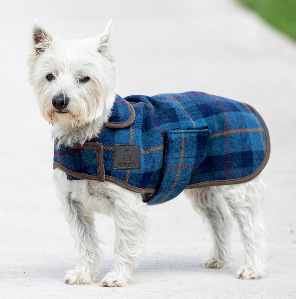 Digby & Fox Tweed Dog Coat