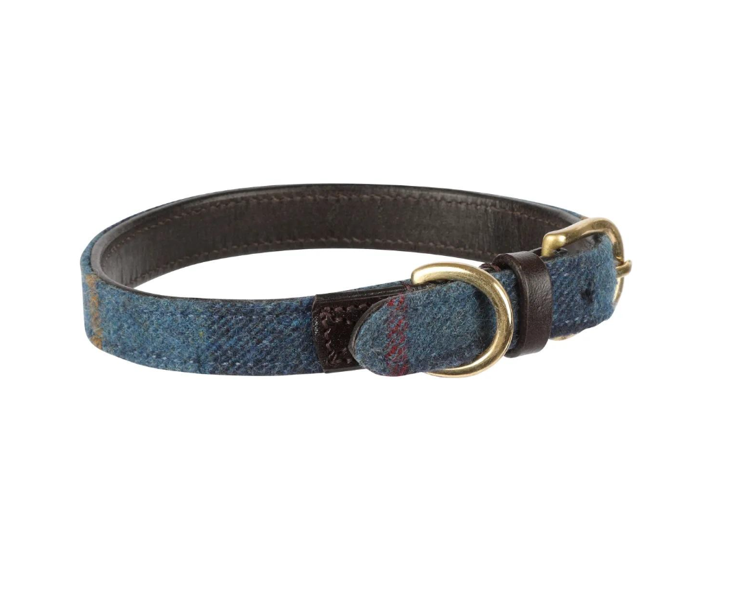 Digby & Fox Tweet Collar