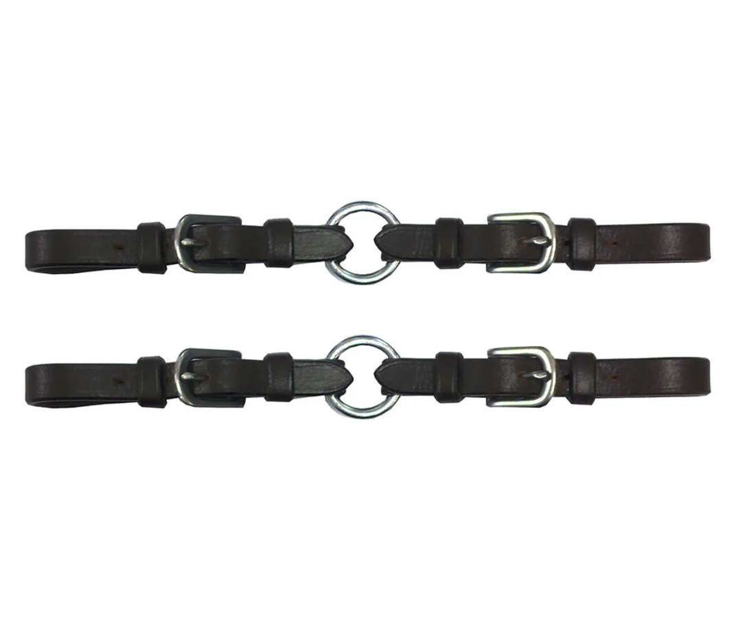 Ovation Euro Bit Converter