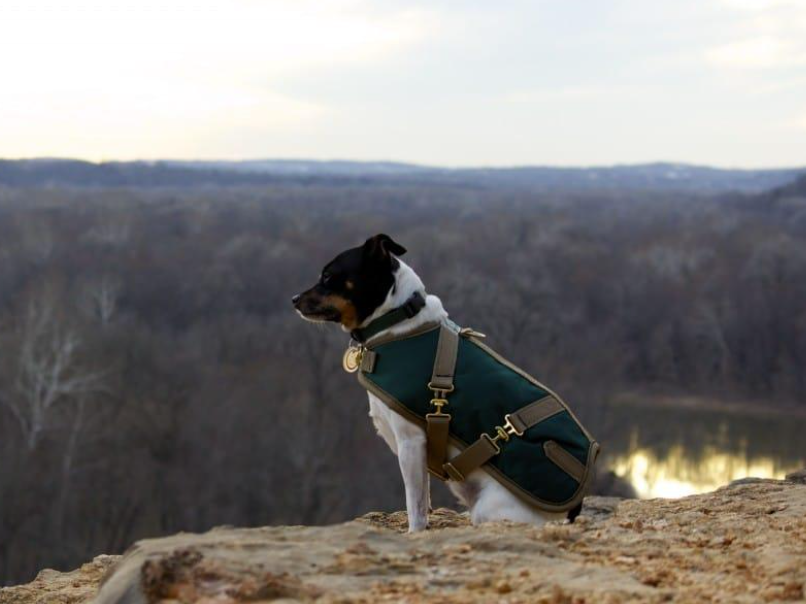 Foggy Mountain Nylon Turnout Coat