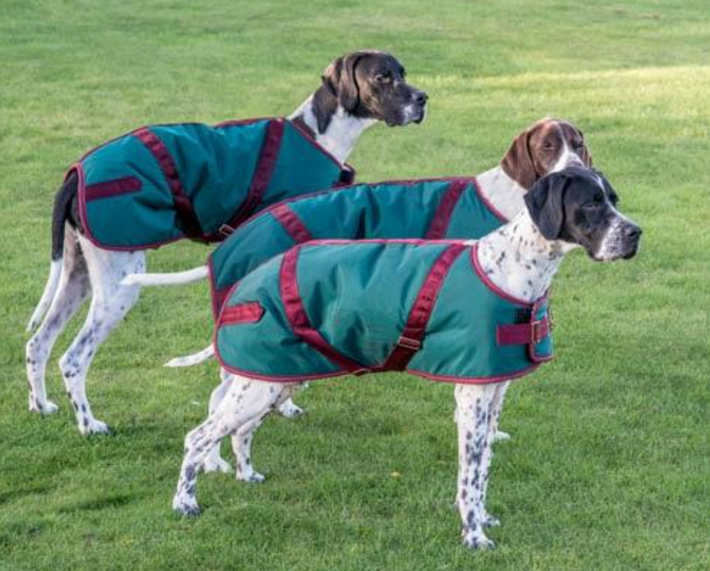 Foggy Mountain Nylon Turnout Coat