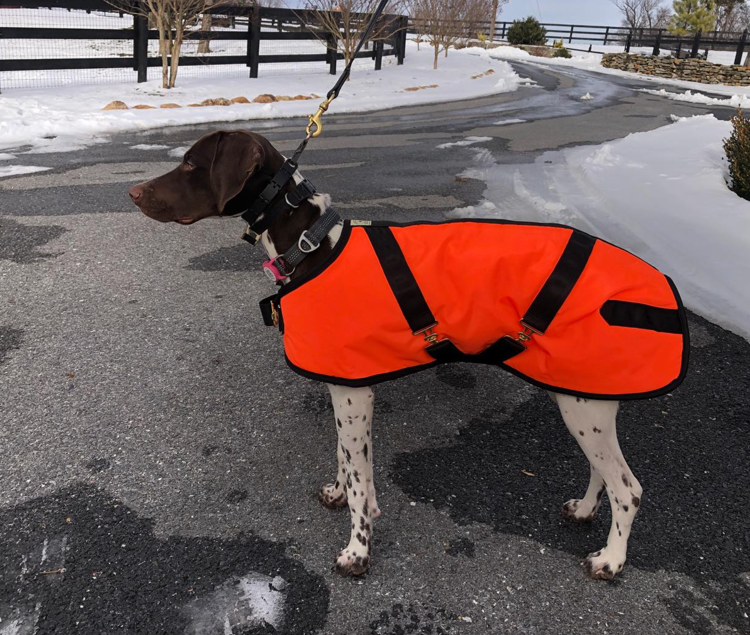 Foggy Mountain Nylon Turnout Coat