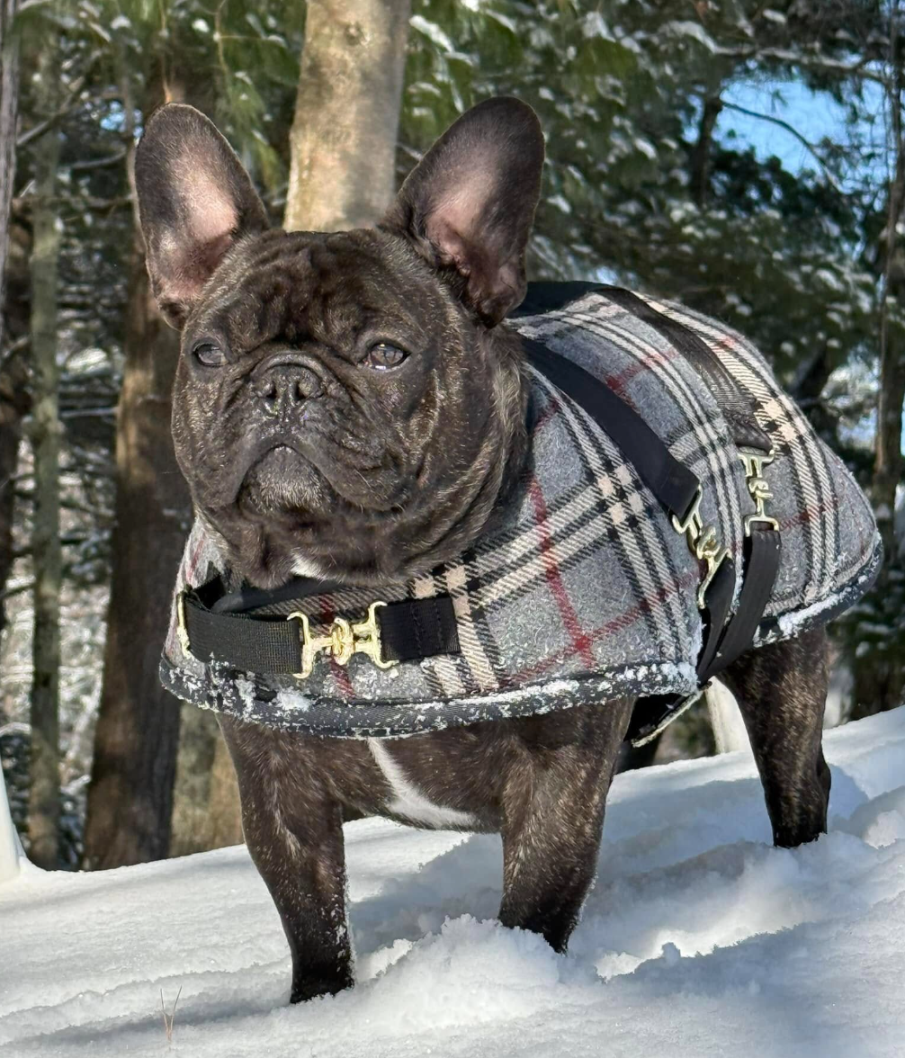 Foggy Mountain Plaid Coat