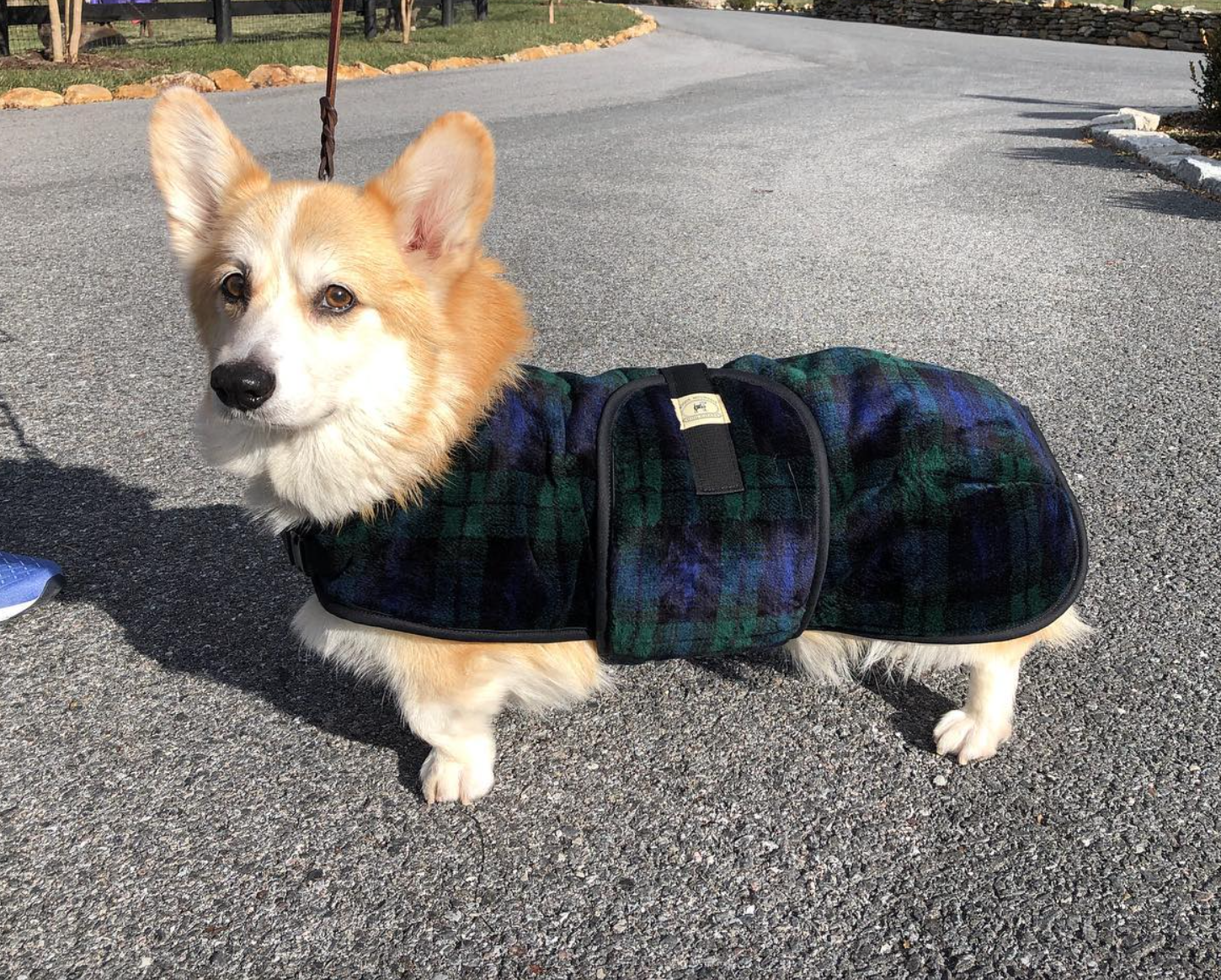 Foggy Mountain Snuggler Coat