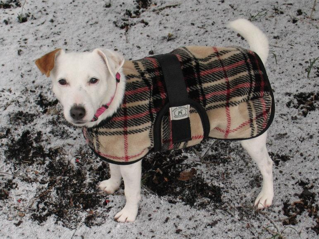 Foggy Mountain Snuggler Coat