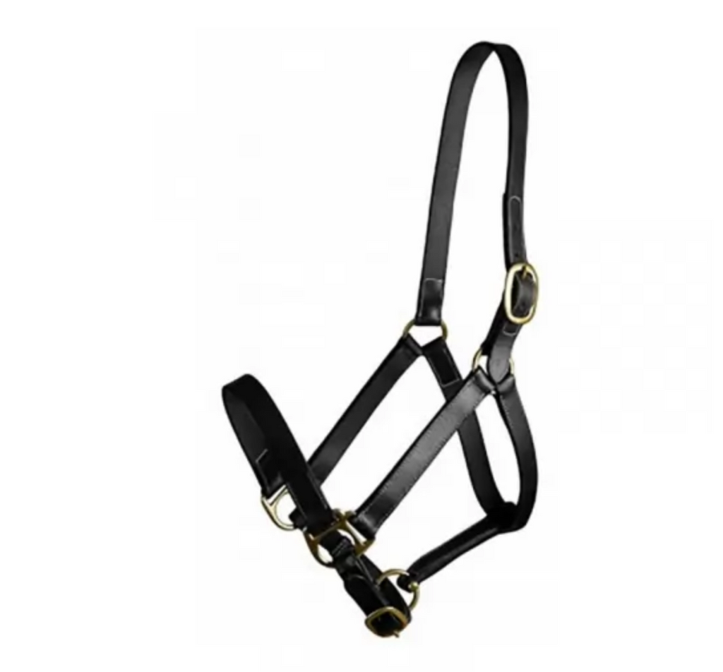 Gatsby Leather Halter w/out Snap
