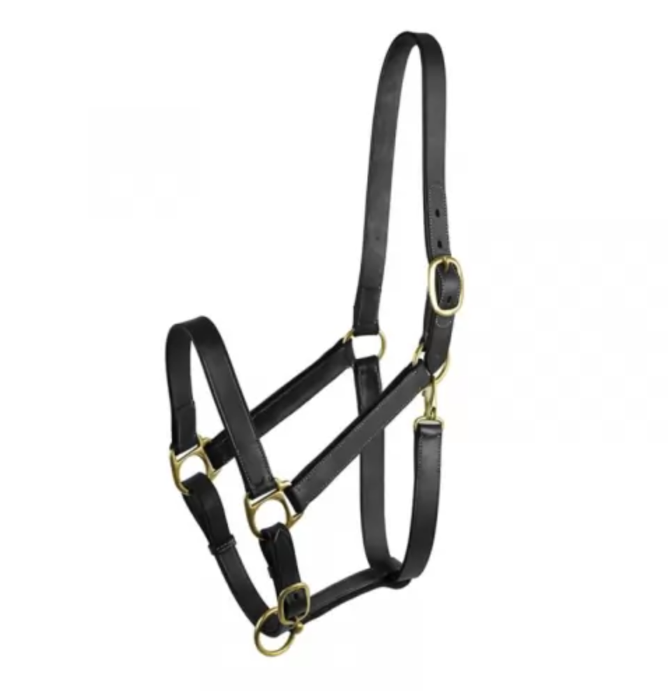 Gatsby Leather Halter w/ Snap