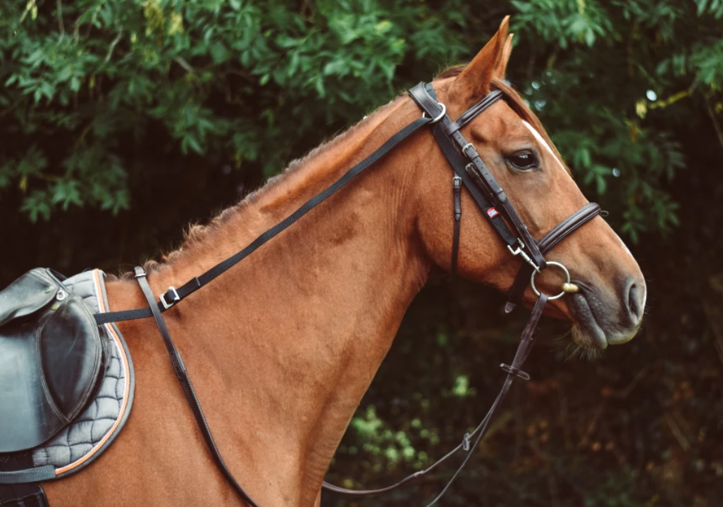 Perri's Pony Anti-Grazing Device