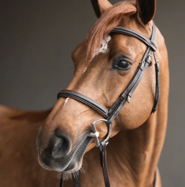 Herm Sprenger Duo Dee