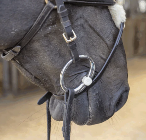 Herm Sprenger Duo Eggbutt