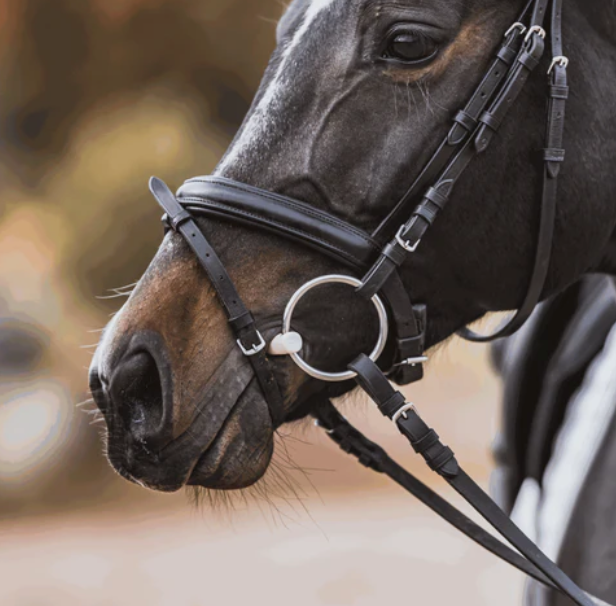 Herm Sprenger Duo Loose Ring