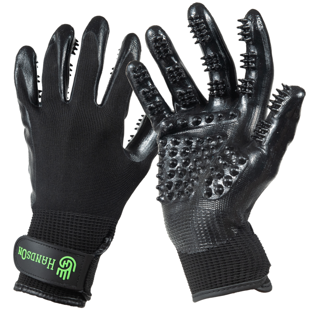 Hands-On Grooming Glove