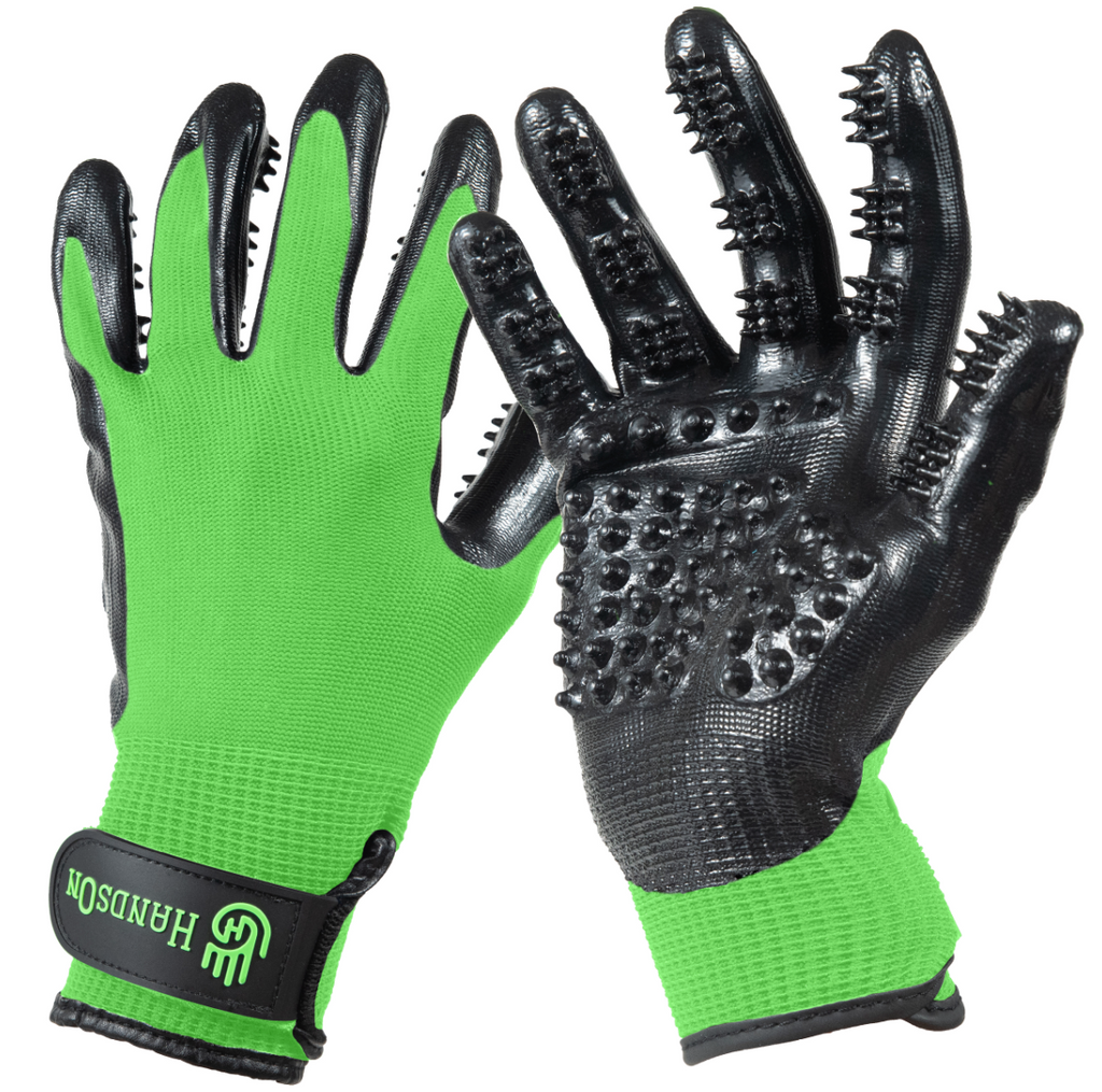Hands-On Grooming Glove