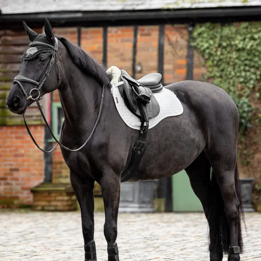 LeMieux Merino+ Half Lined GP Square Pad