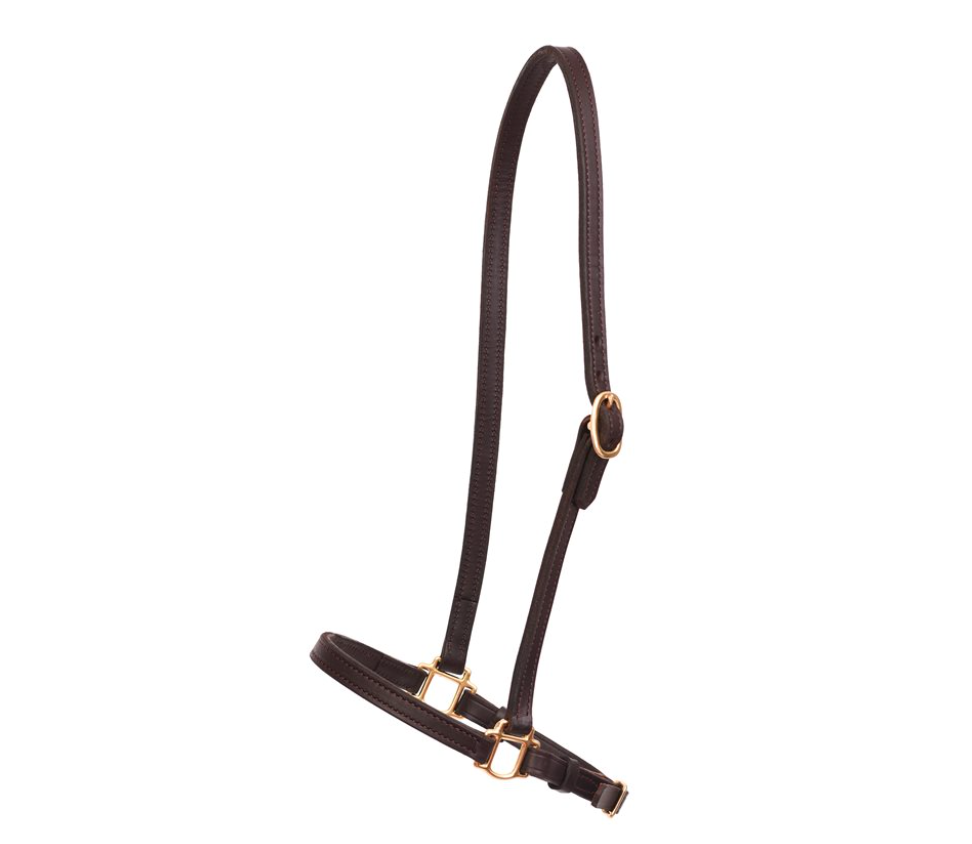 Perri's Leather Grooming Halter