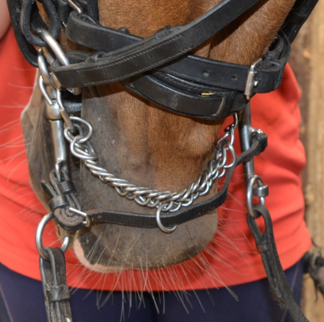 Exselle Leather Lip Strap