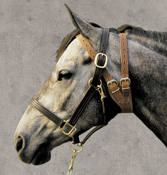 Weaver Miracle Collar®