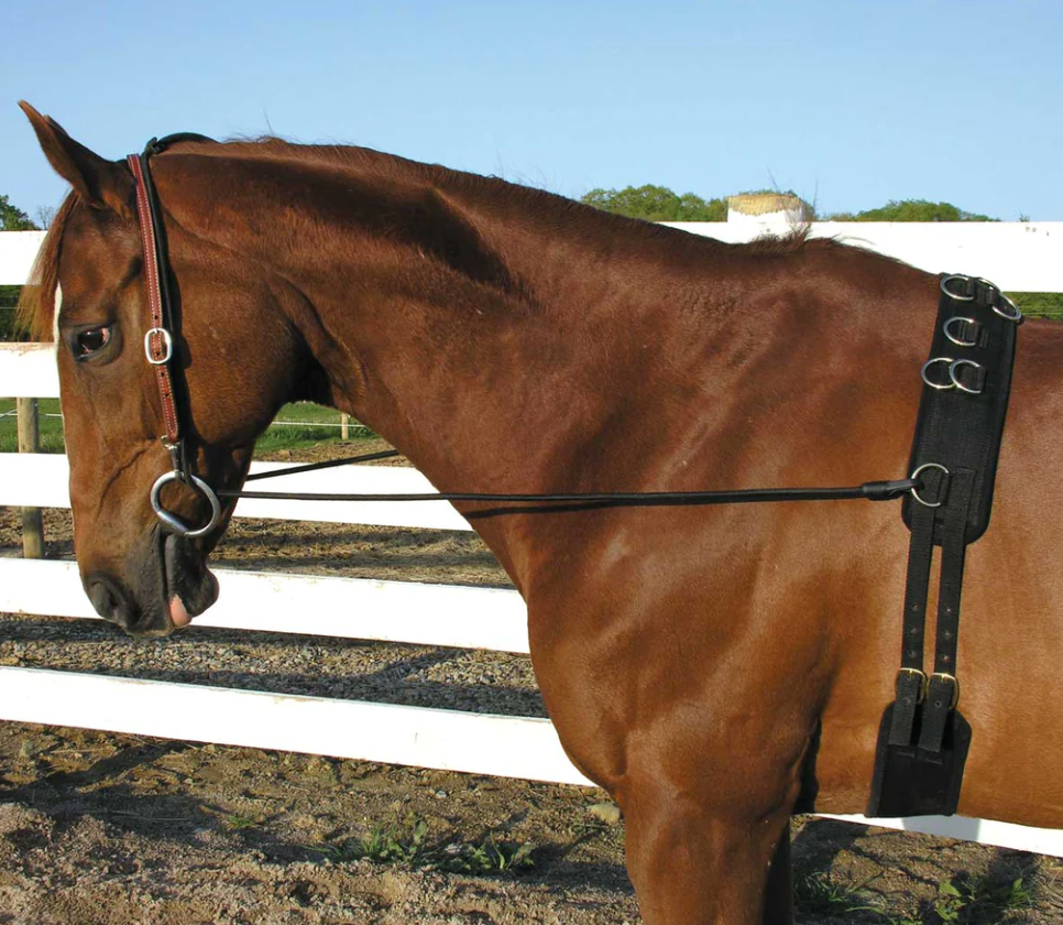 Camelot Neck Stretcher