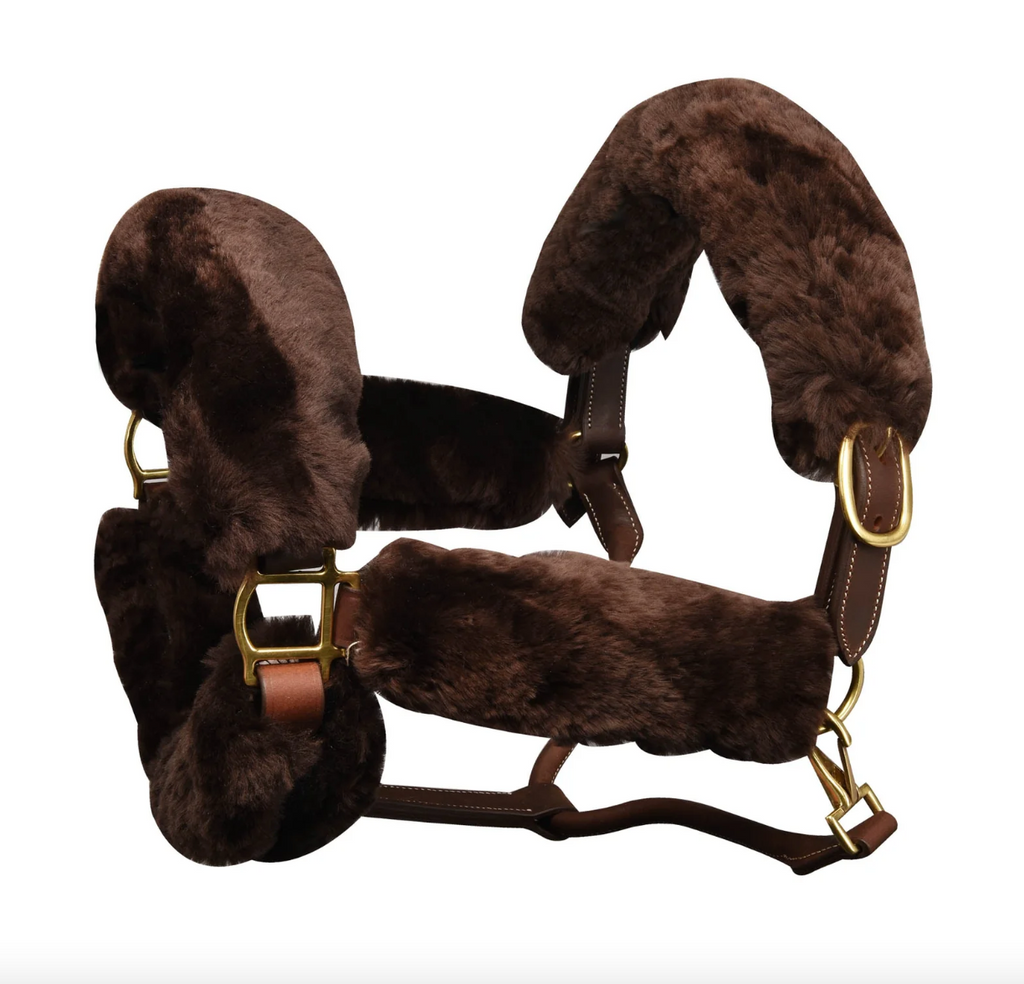 Ovation 6 Piece Halter Tube Set