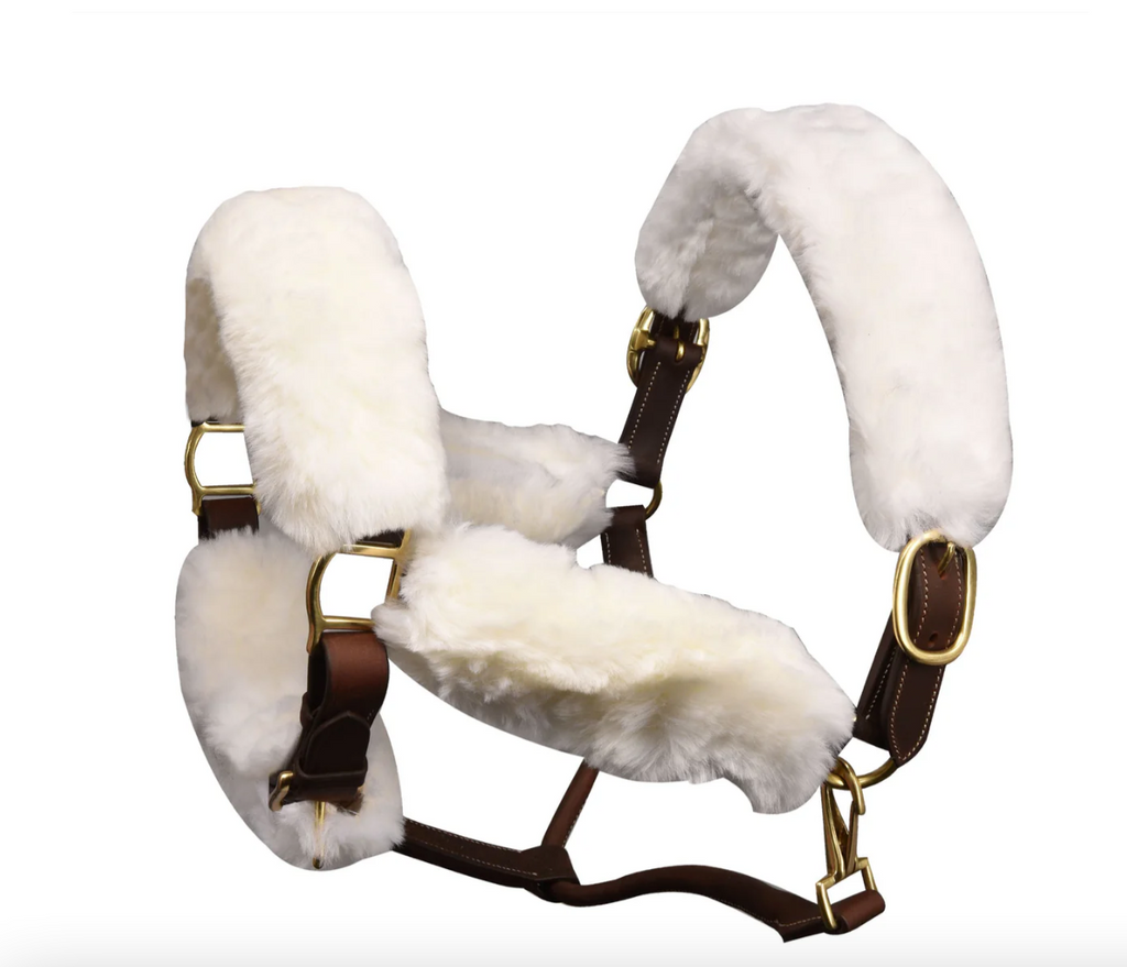 Ovation 6 Piece Halter Tube Set