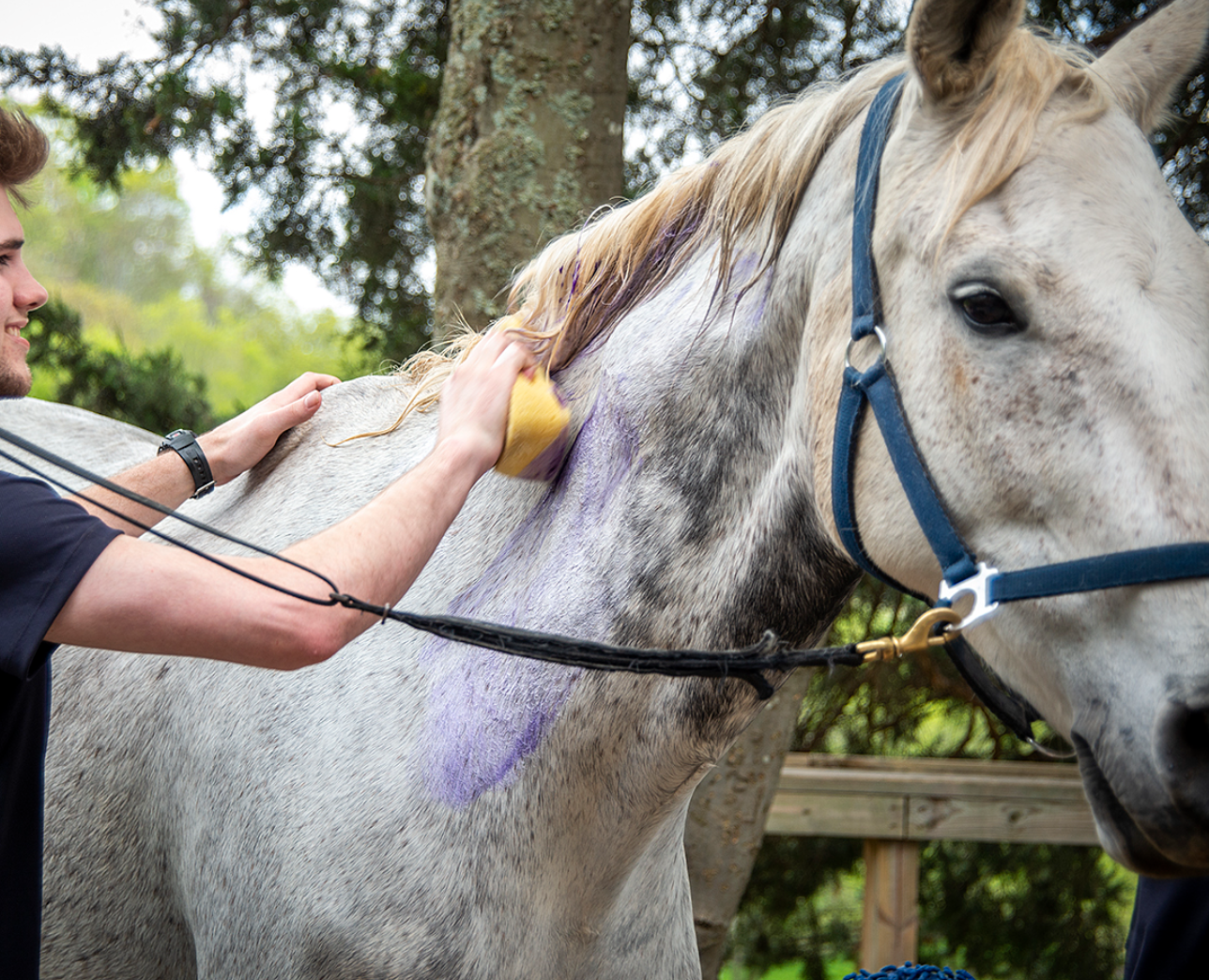 Exhibitors Quic Silver Shampoo
