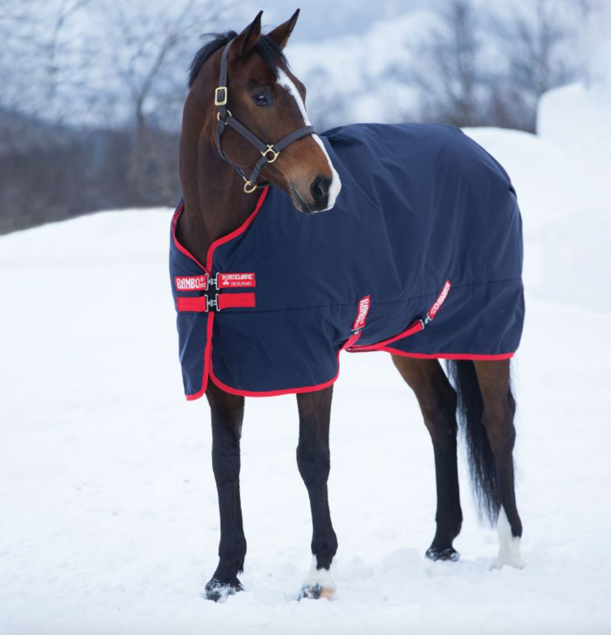 Rambo® Original Turnout