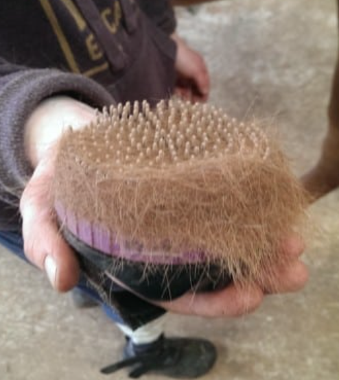 SoloBrush