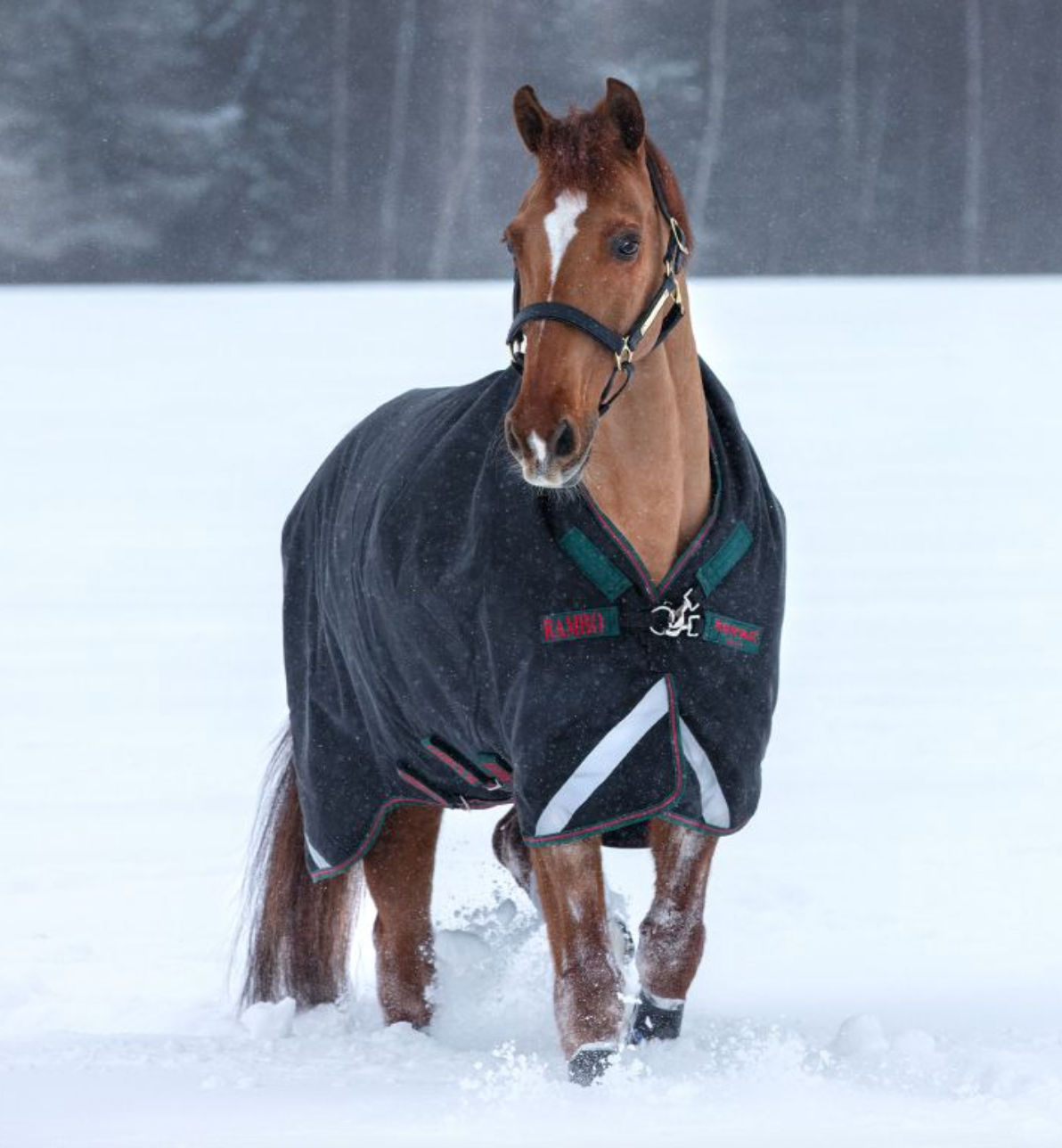 Rambo® Wug Turnout (400g Heavy)