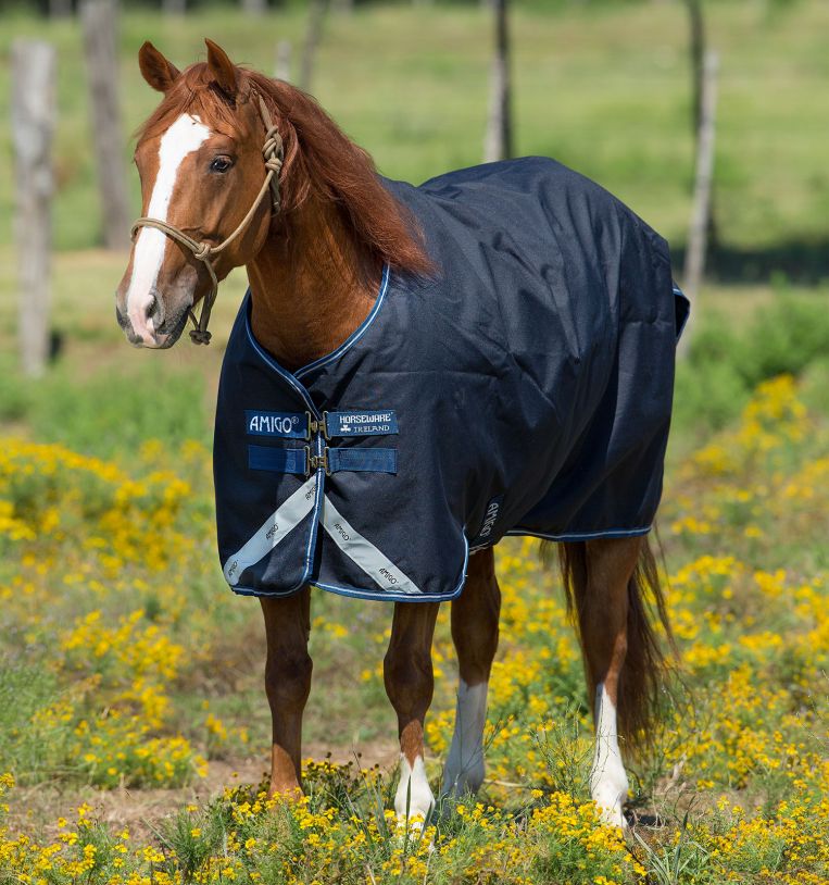 Amigo® Bravo 12 Original (400g Heavy)