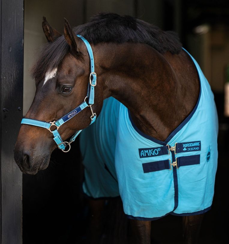 Amigo® Stable Sheet