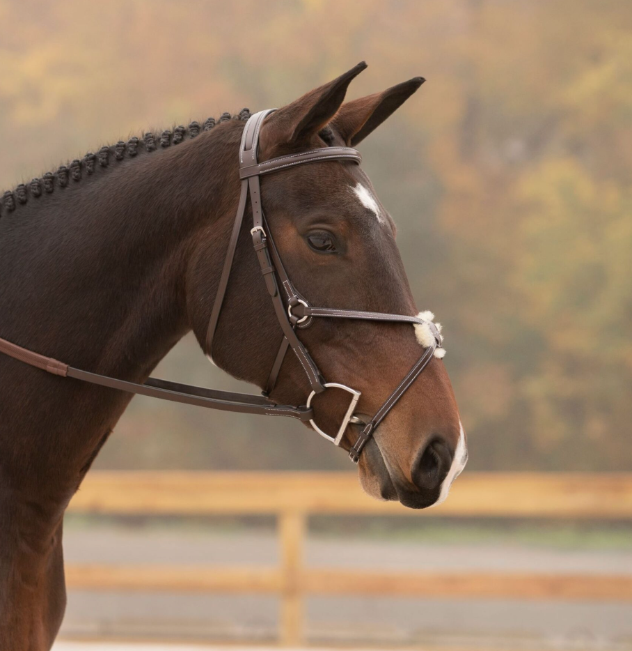 Black Oak Cedar Figure 8 Bridle