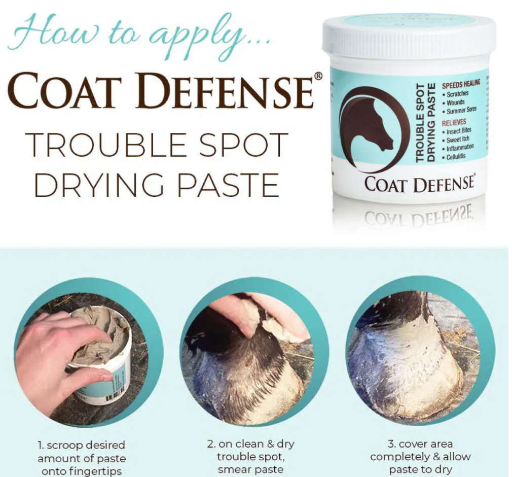 Coat Defense Trouble Spot Paste