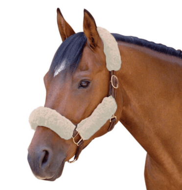 Cool Back 4 Piece Halter Tube Set