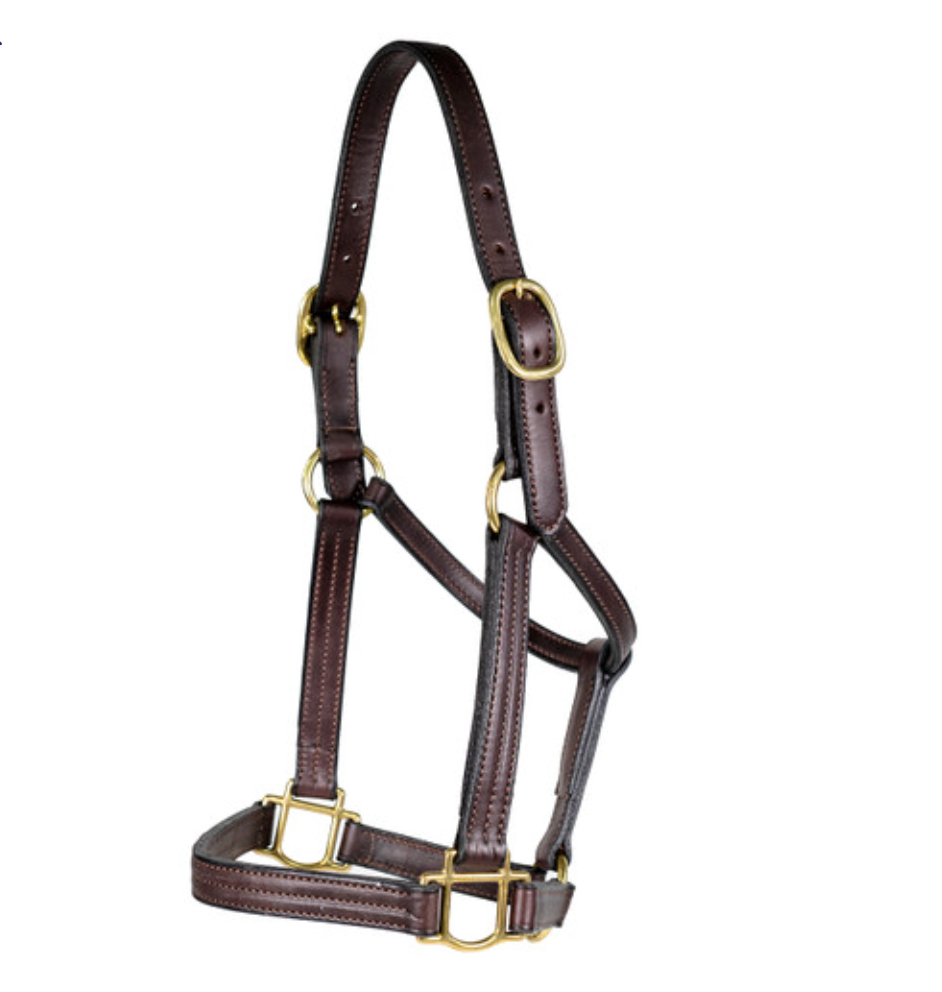 1" Leather Halter no snap