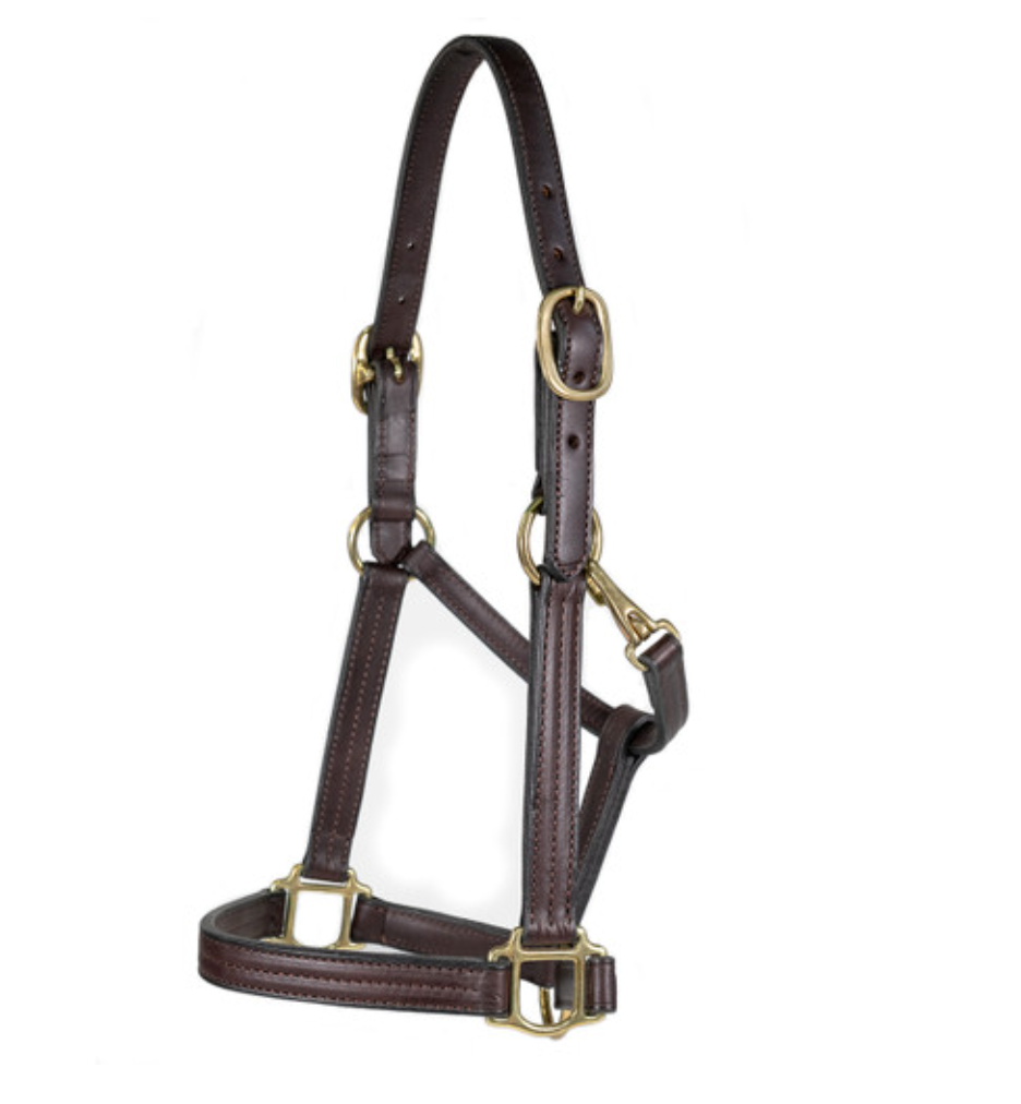 1" Leather Halter w/snap