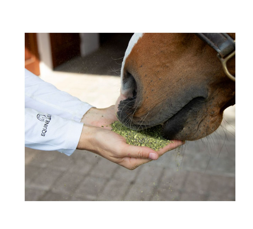 Equine Elixers ProBono