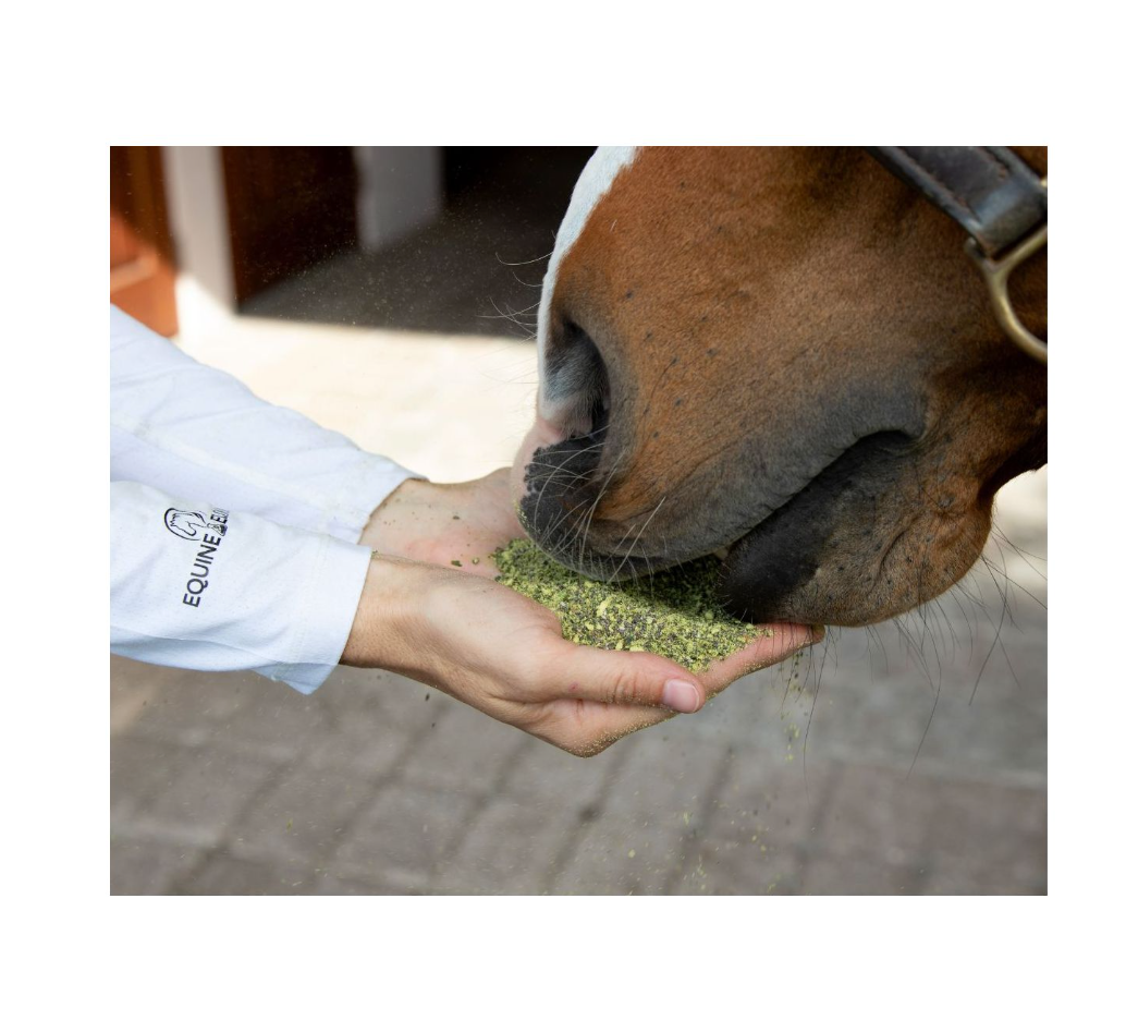 Equine Elixers ProBono