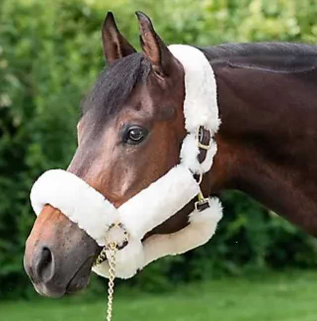 Sheepskin Shipping Halter