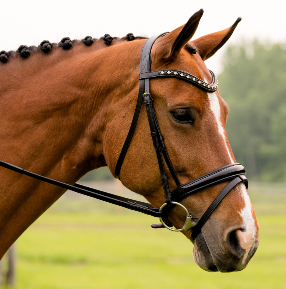 Red Barn Stride Dressage Bridle