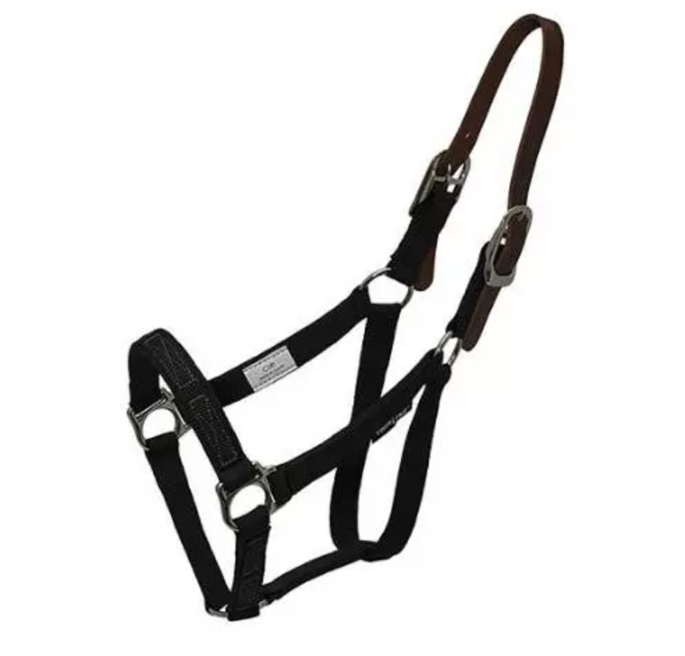 Thinline Halter for Flexible Filly Muzzle